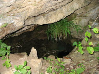 峰山 林道脇に有る小洞窟